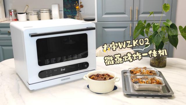 大宇WZK02微蒸烤一体机：美食种草，厨房新宠！