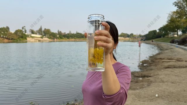 用希诺双层抗菌玻璃杯表呈心意，制造精致生活的仪式感