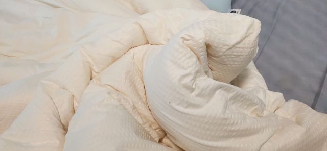 每晚深睡 抗菌防螨豆豆被，蓬松立体超轻盈，会自己“供热”的被子